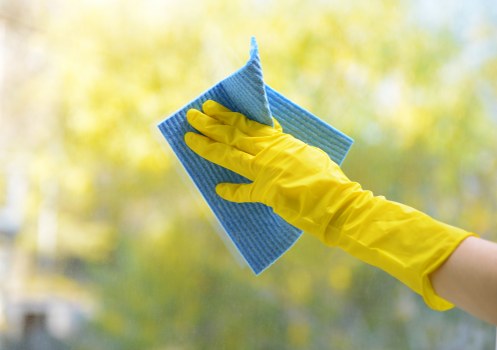 Deep carpet cleaning process in a home interior