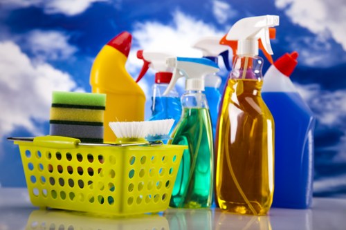 Professional carpet cleaner using safe working practices in a home