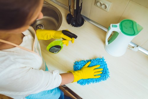 Close-up of pet stain cleaning products used for odour removal